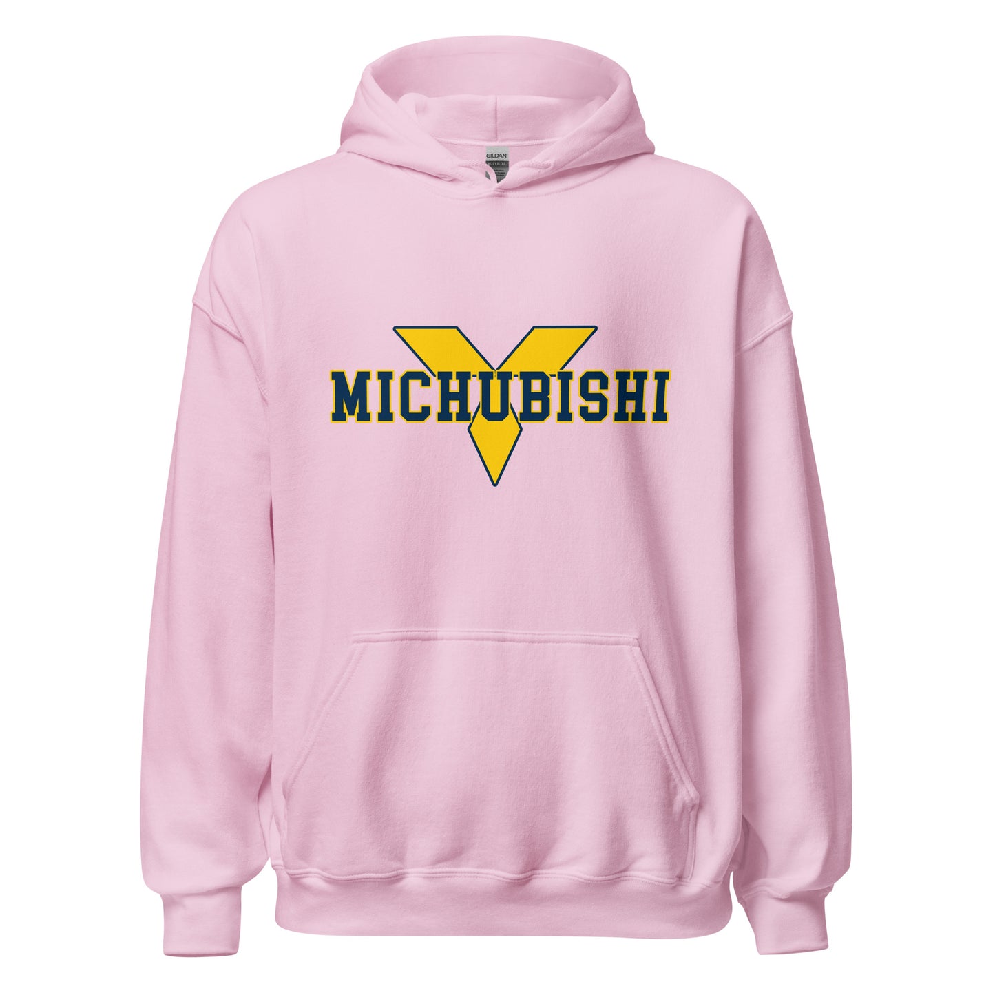 DSM University Hoodie